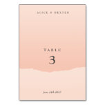 Minimalistic Elegant Blush Wedding Table Number