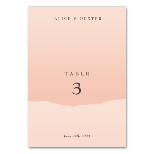 Minimalistic Elegant Blush Wedding Table Number
