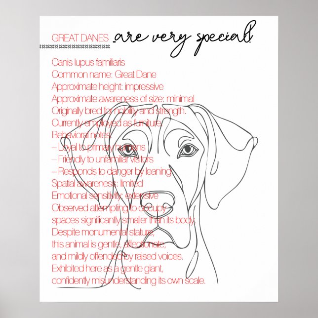 Minimalistic Great Dane Poster (Front)