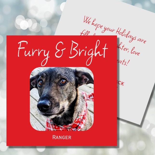 Minimimalistic Pet Photo Christmas Card (Creator Uploaded)