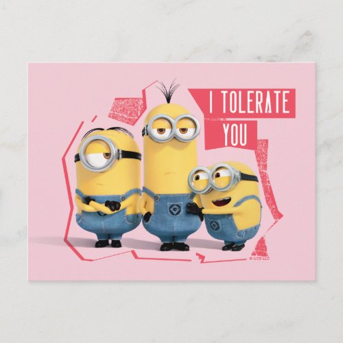 Minions Valentines Day  I Tolerate You Postcard