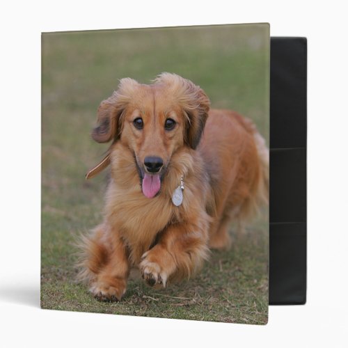 Miniture Dachshund Running Binder