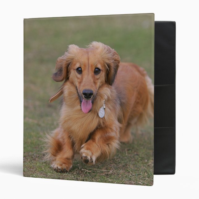 Miniture Dachshund Running Binder (Front/Inside)