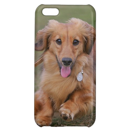 Miniture Dachshund Running Case For iPhone 5C