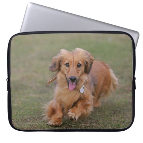 Miniture Dachshund Running Laptop Sleeve