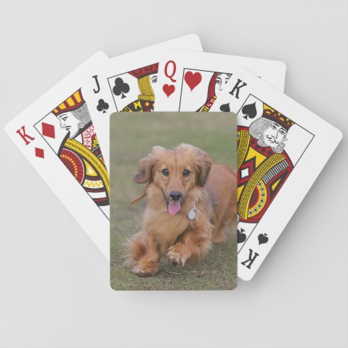 Miniture Dachshund Running Playing Cards