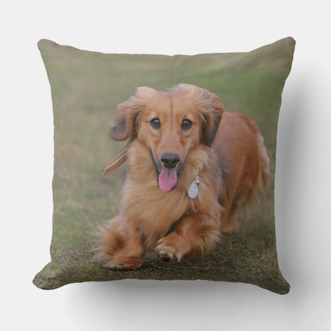 Miniture Dachshund Running Throw Pillow (Front)