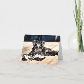 Miniture Schnauzer Note Card #2 - blank