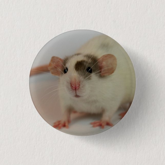 Mink dumbo Rat Button (Front)