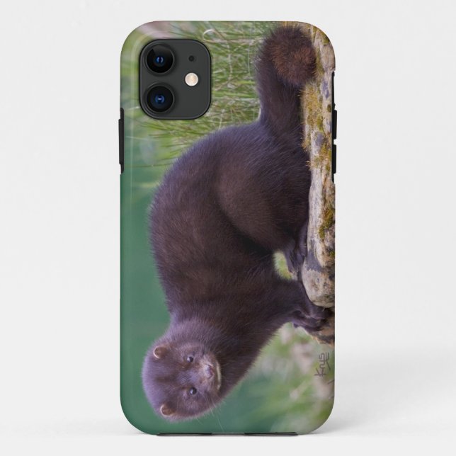 Mink iPhone 5 Case-Mate Case (Back)