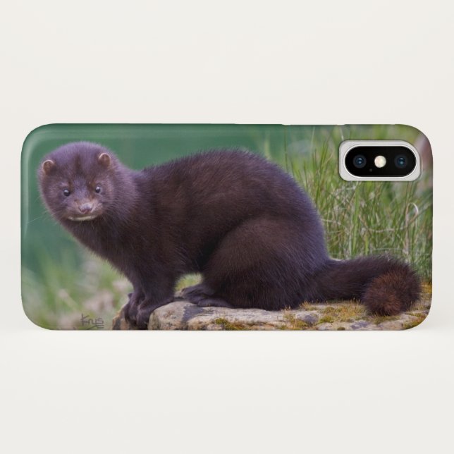 Mink iPhone X Case (Back (Horizontal))