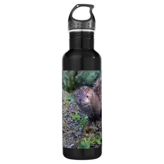 Mink Photo Closeup Stainless Steel Water Bottle (Front)