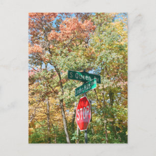 Minneapolis Minnesota Linden Hills Fall Colors Postcard