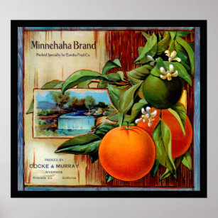 Yacht Couple Orange Citrus Fruit Crate Label Art Print Corona O.I.C 