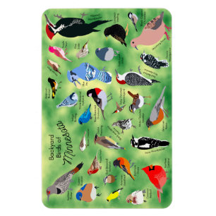 Minnesota Birds Flexible Photo Magnet