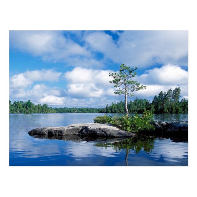 Minnesota Boundary Waters Postcard Zazzle Com   Minnesota Boundary Waters Postcard R4f6b8e2a54f843f98212c30547d494e3 Vgbaq 8byvr 630 