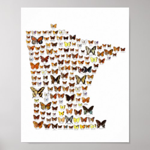 Minnesota Butterflies Poster