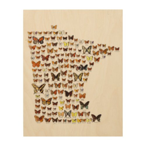 Minnesota Butterflies Wood Wall Art