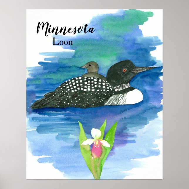 Minnesota Common Loon Baby Bird Water Poster (Front)