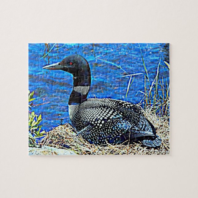 Minnesota Common Loon Jigsaw Puzzle (Horizontal)