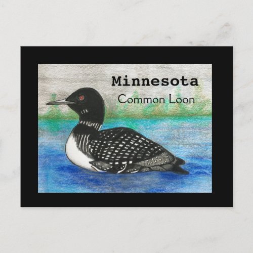 Minnesota Common Loon State Bird Postcard