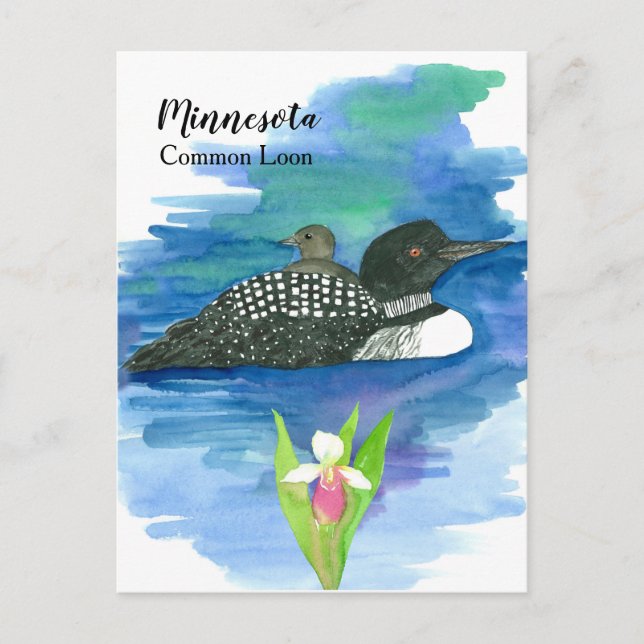 Minnesota Common Loon Watercolor Lake Postcard (Front)