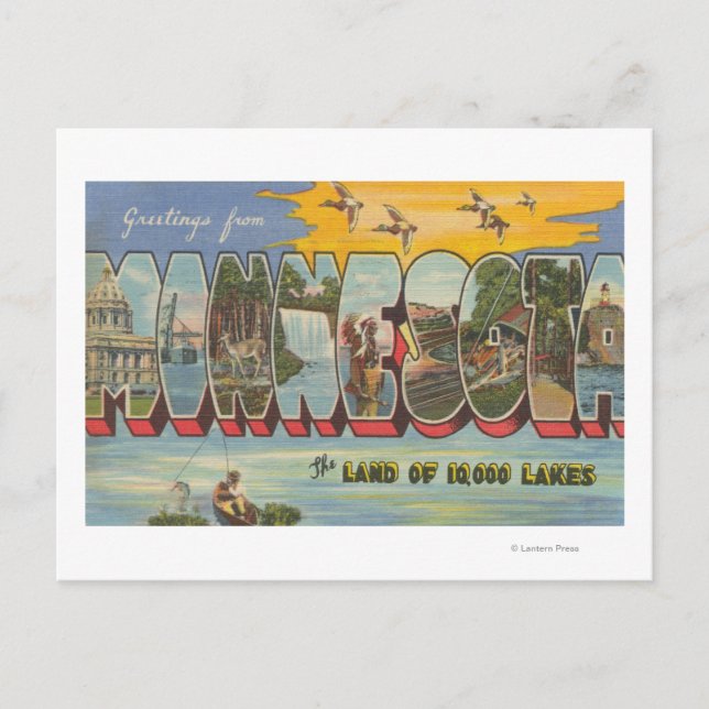Minnesota (Ducks) - Large Letter Scenes Postcard (Front)
