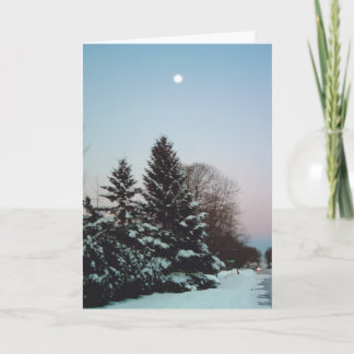 Minnesota Holiday Card