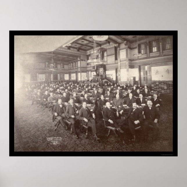 Minnesota House Reps Photo 1901 Poster (Front)