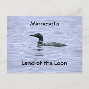 Minnesota land of the Loon Postcard