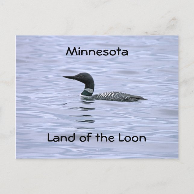 Minnesota land of the Loon Postcard (Front)