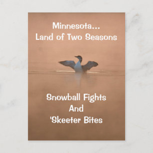 Minnesota...Land of Two Seasons Postcard