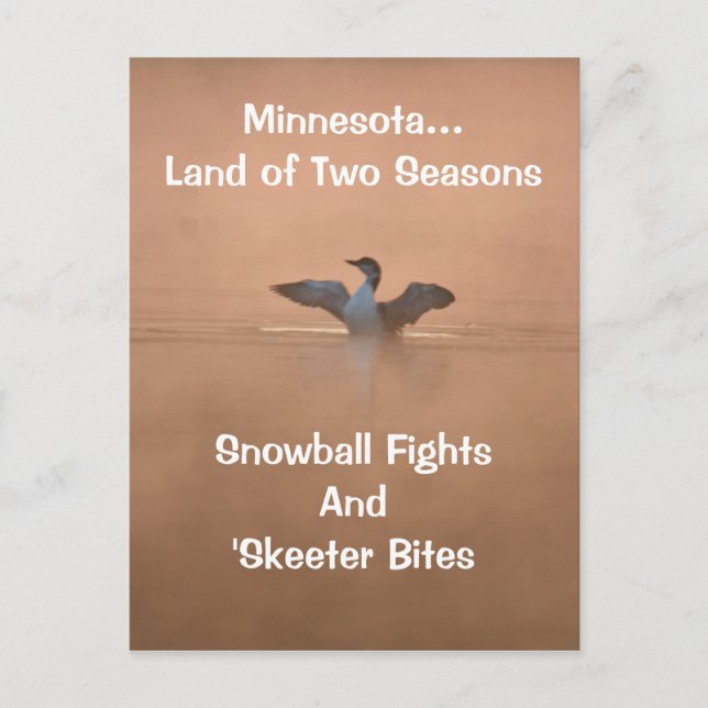 Minnesota...Land of Two Seasons Postcard (Front)