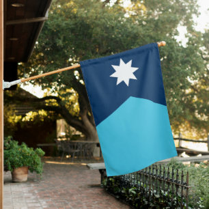 Minnesota North Star Flag