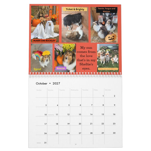 Minnesota Sheltie Rescue 2022 Calendar (Oct 2027)