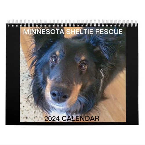 MINNESOTA SHELTIE RESCUE 2024 CALENDAR