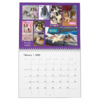 Minnesota Sheltie Rescue Calendar 2025