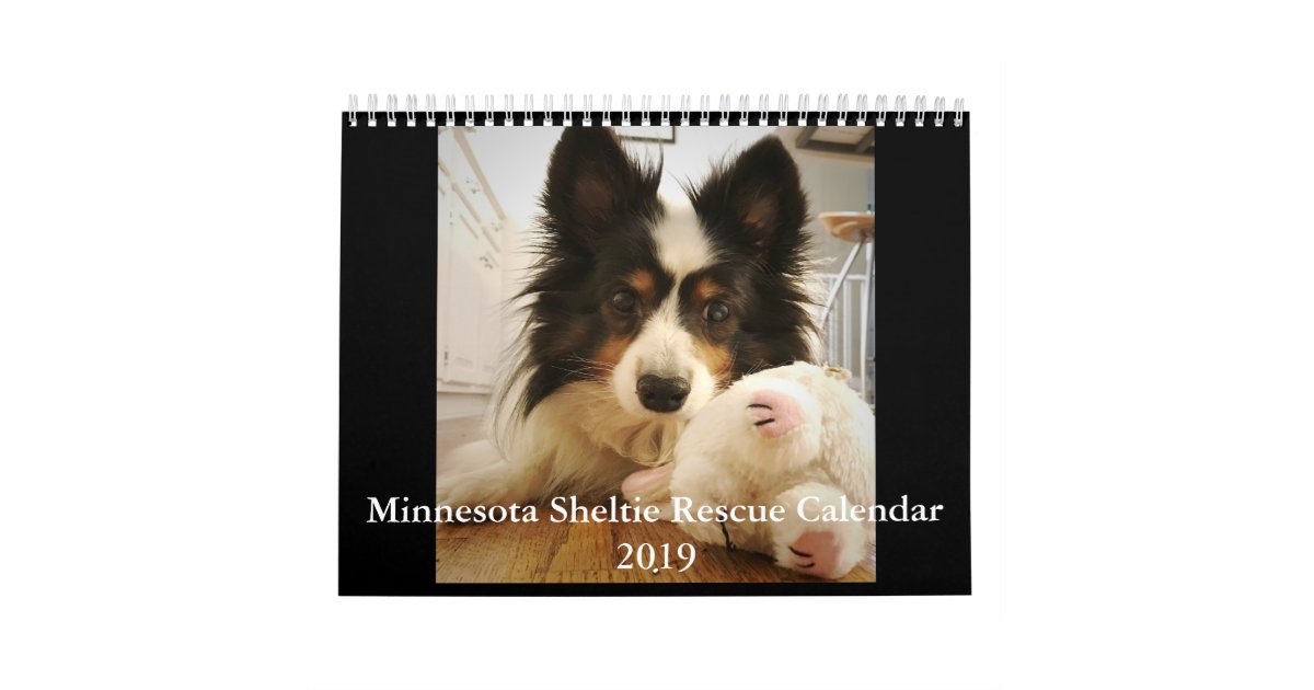 Shetland Sheepdog Puppies 2019 Mini Wall Calendar Calendars Com