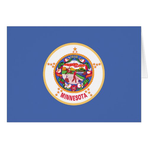 Minnesota State Flag