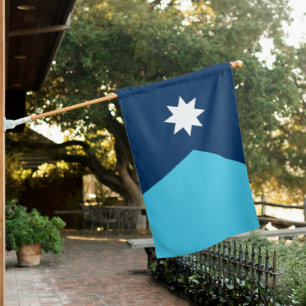 Minnesota State Flag