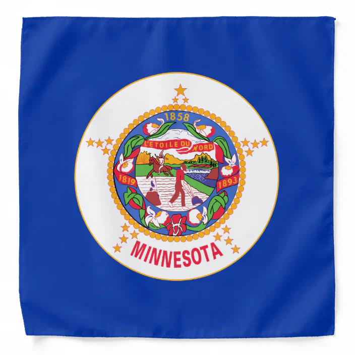 Minnesota State Shaped Gadsden Flag T-Shirt Tee Shirt Free Sticker MN
