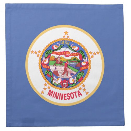 Minnesota State Flag Cloth Napkin