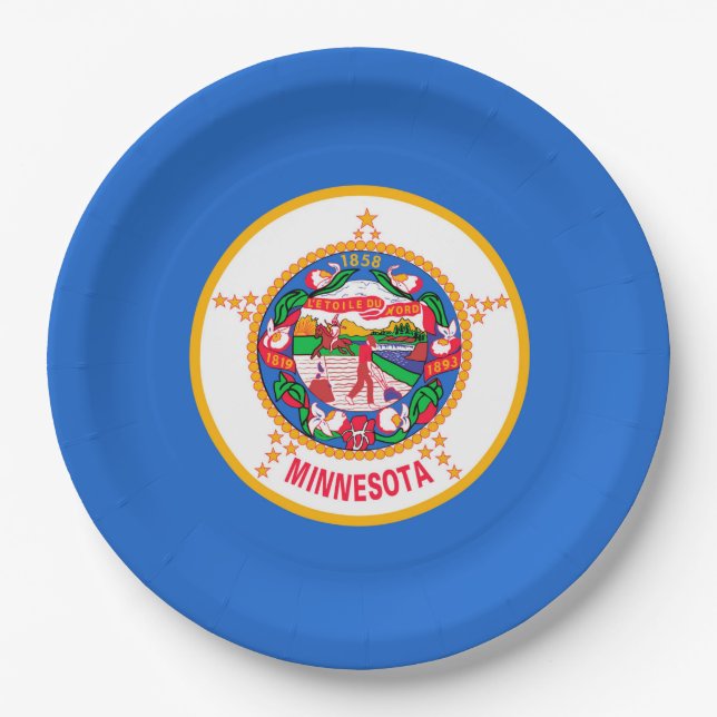 Minnesota State Flag Design Paper Plates (Front)