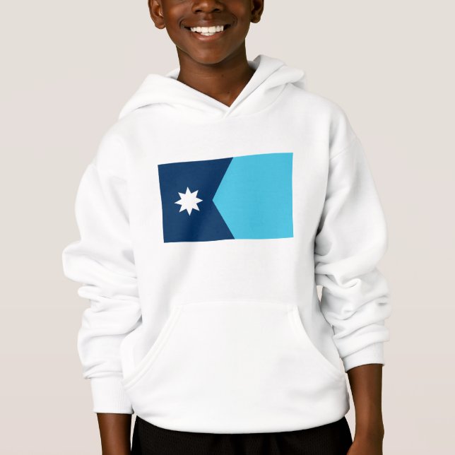 Minnesota State Flag Hoodie (Front)