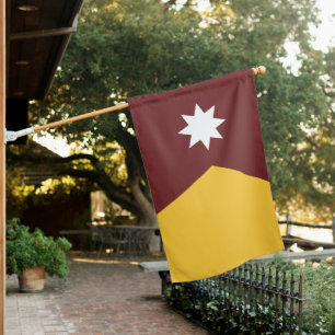 Minnesota State Flag in Gophers Colors