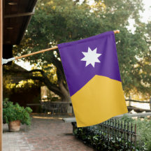 Minnesota State Flag in Viking Colors