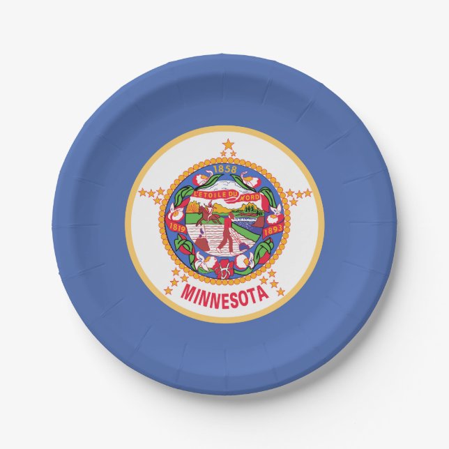 Minnesota State Flag Paper Plates (Front)