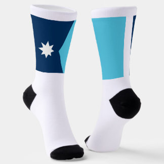 Minnesota State flag Socks