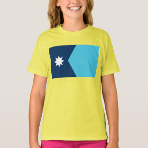 Minnesota State Flag T-Shirt
