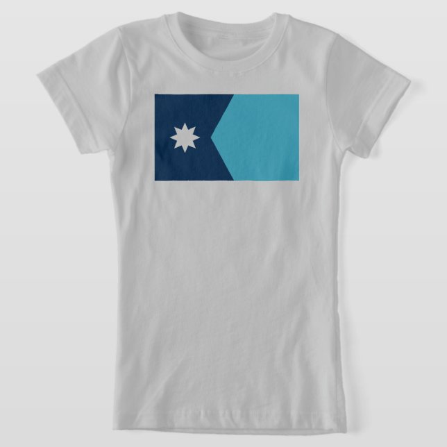 Minnesota State Flag T-Shirt (Laydown)